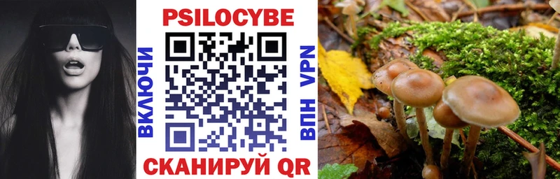 Галлюциногенные грибы Psilocybe  Новая Усмань 